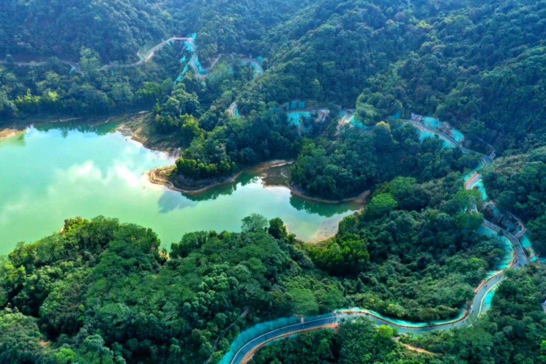 Yangtaishan Forest Park-shenzhen Yangtaishan Forest Park-shenzhen